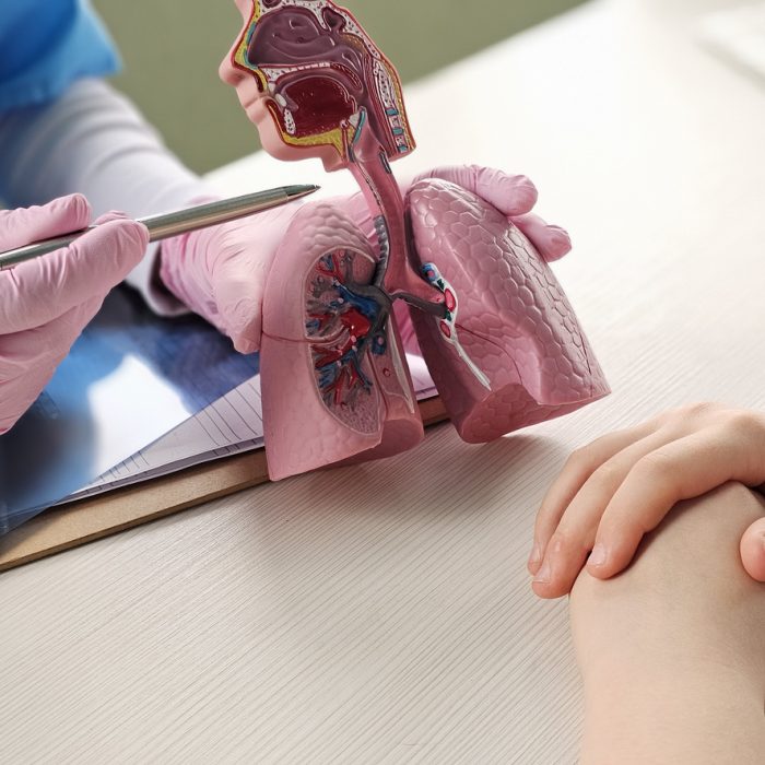 The doctor provides a detailed explanation of the human respiratory system using a model of lung