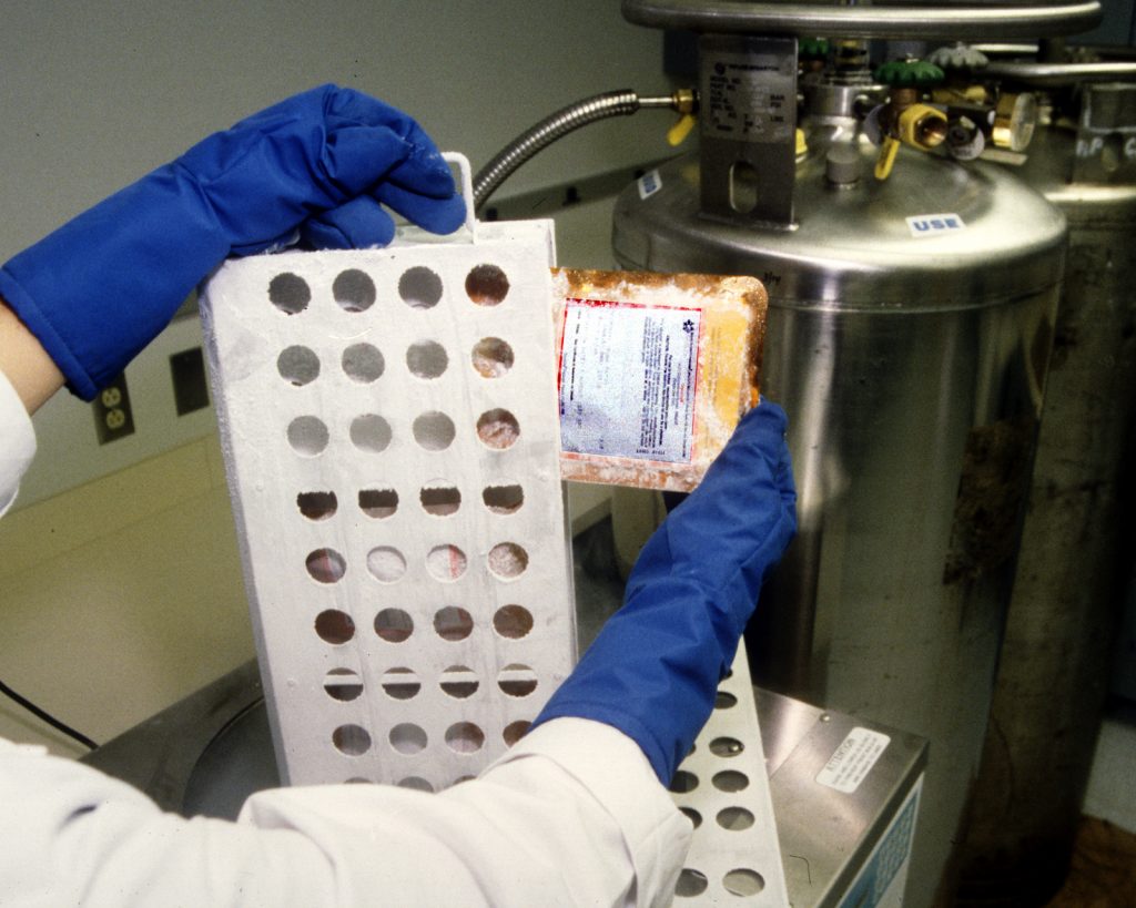 Cold storage equipment at blood bank